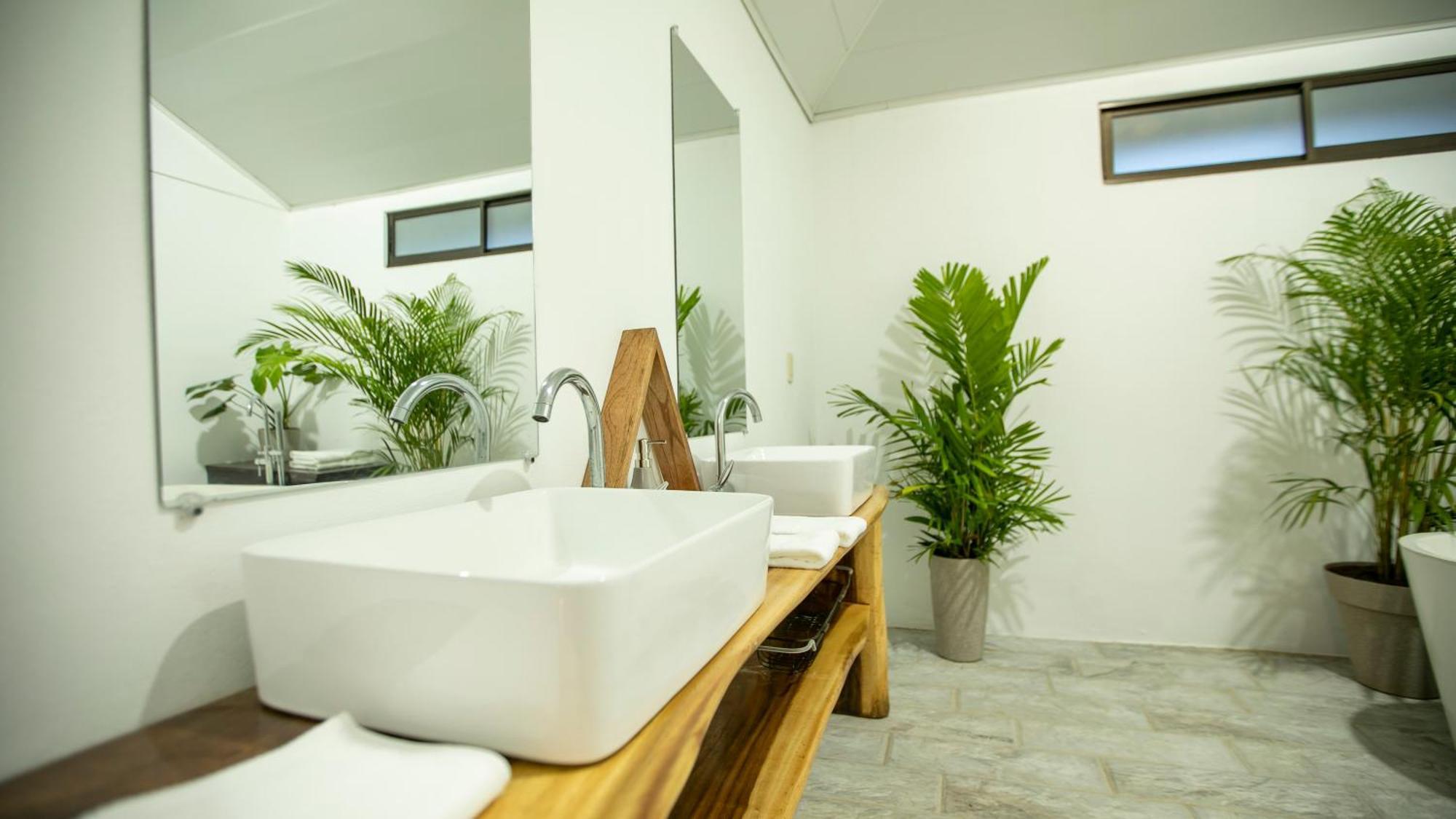 Anthurium House *