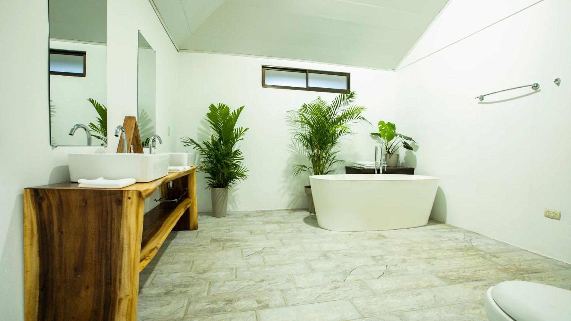Anthurium House La Fortuna
